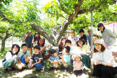 ガイナーレ鳥取の岡野GMと、家族で梨狩り体験